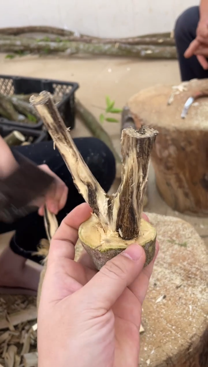 沉香沉香碎屑棋楠沉香 原料文创1