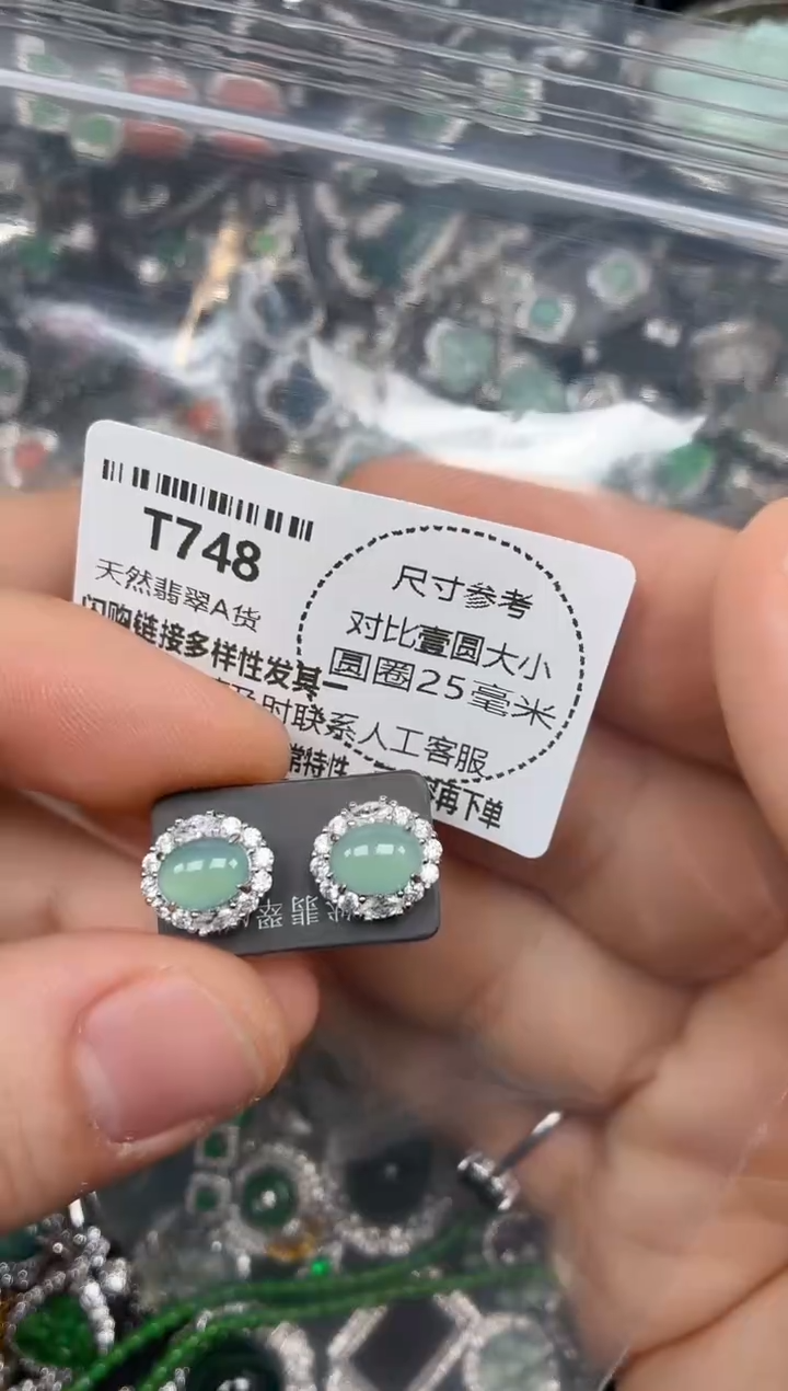 颈饰未镶嵌翡翠T748耳钉