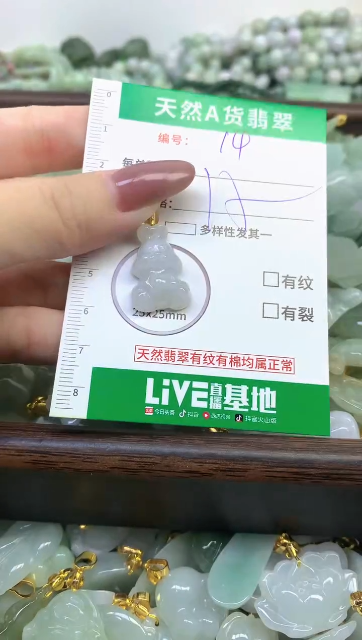 颈饰未镶嵌翡翠纯天然缅甸A货翡翠