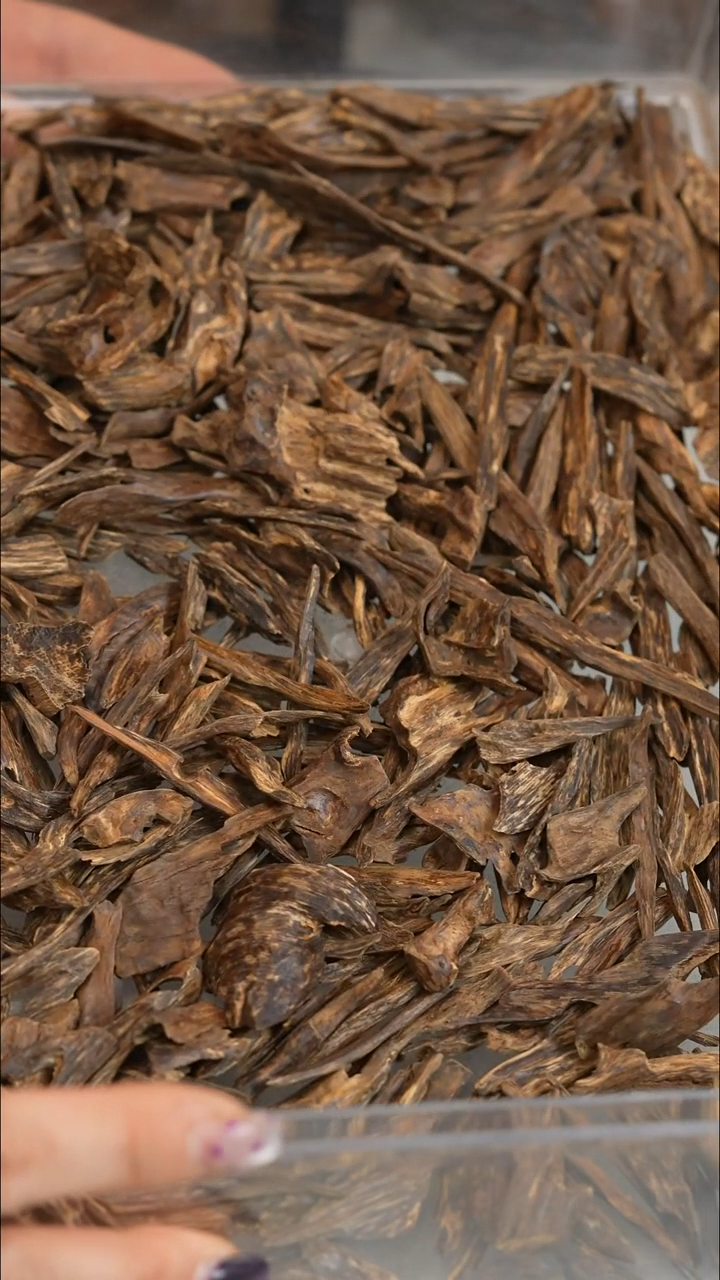 沉香沉香碎屑柬埔寨菩萨树心油 1g 多样性发一