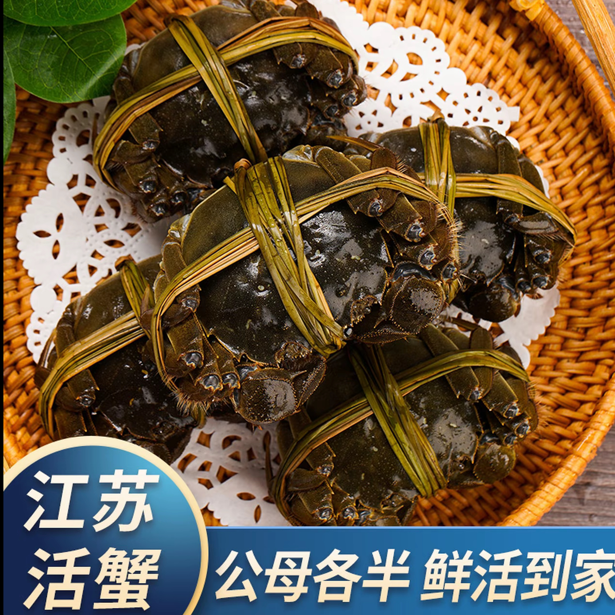 【活蟹现发】江苏精品大闸蟹 全母3.0～2.7两6/8/10只顺丰京东快递