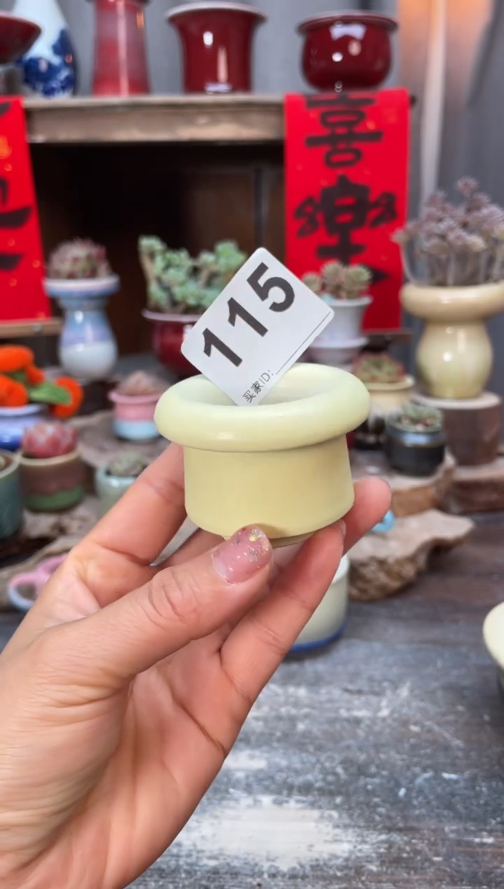 【闪购商品】摆件115知木小芳花盆