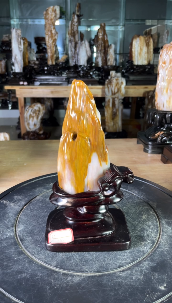 【闪购商品】硅化玉珠宝奇石未镶嵌1