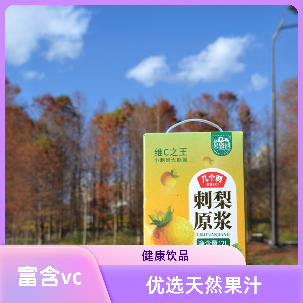 【昊盛园】刺梨原浆常精选营养酸甜健康0糖饮料