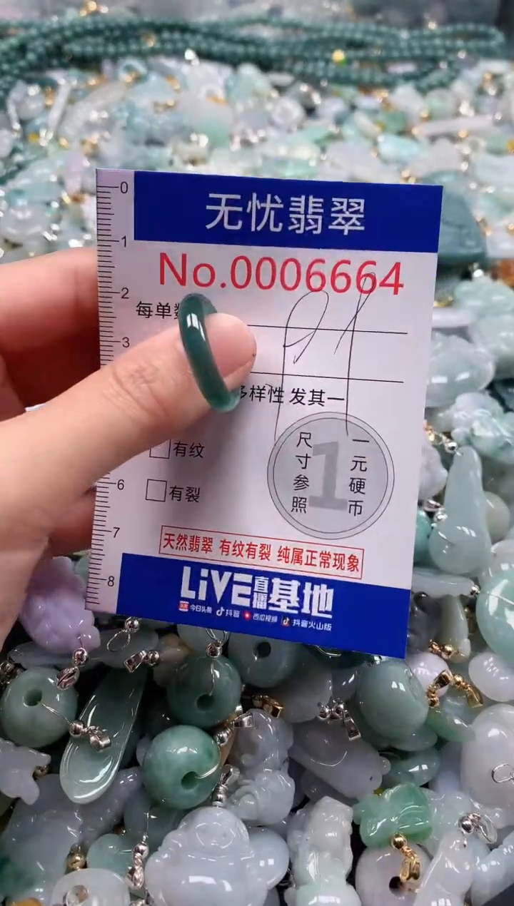 翡翠未镶嵌吊坠(不含链)6664