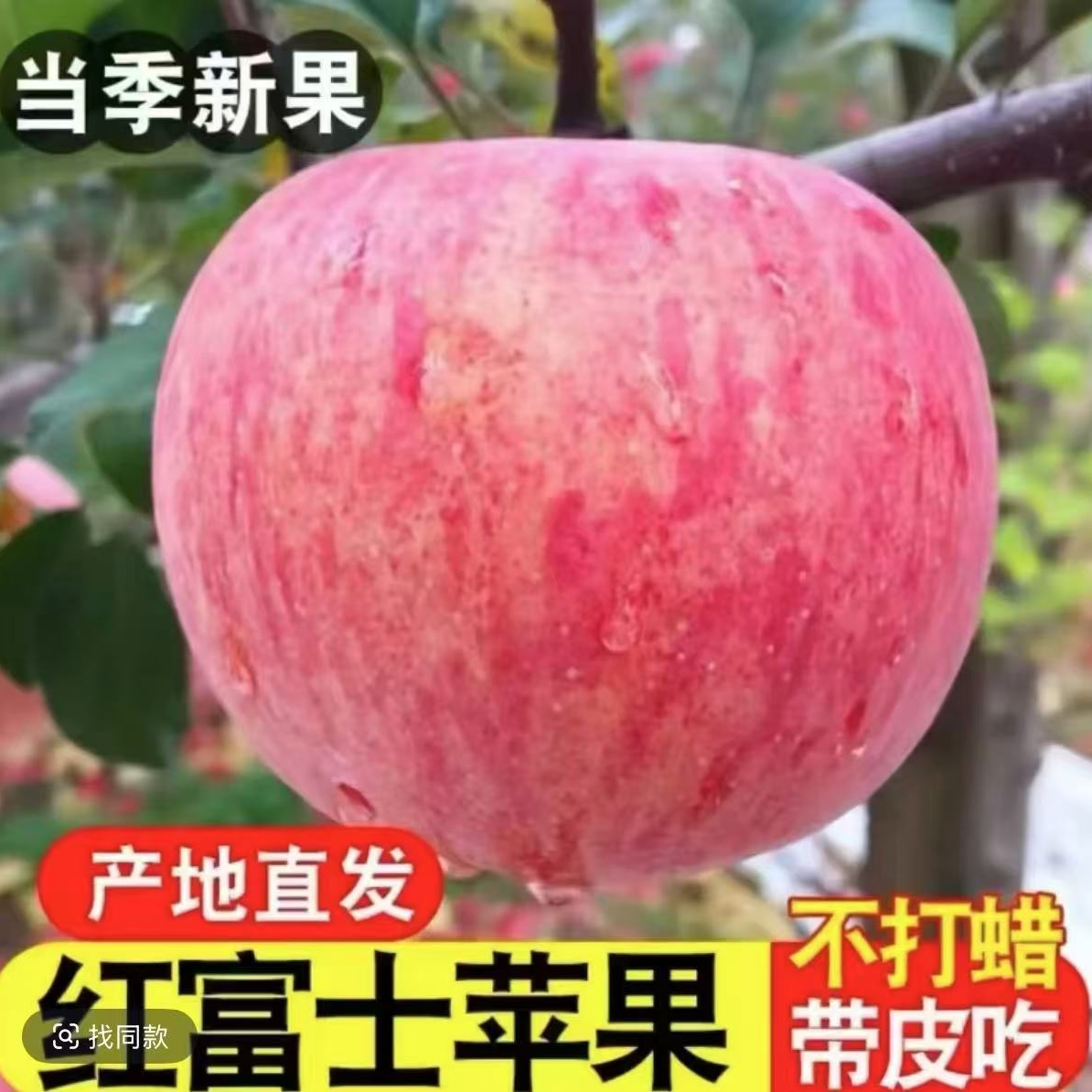 QX正宗红富士苹果头茬鲜果脆甜多汁产地直发
