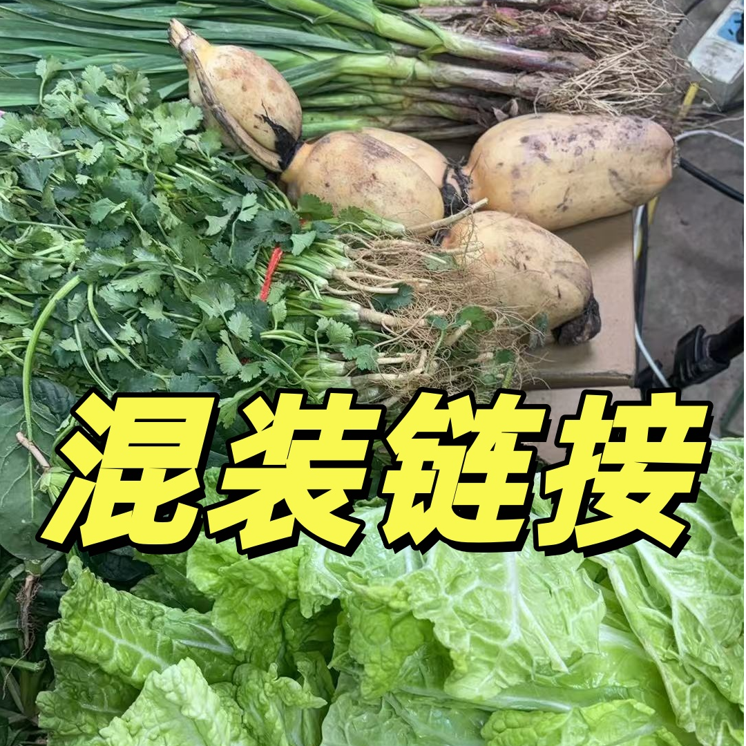 现场称重农家自种新鲜现摘现发蔬菜多种蔬菜青菜