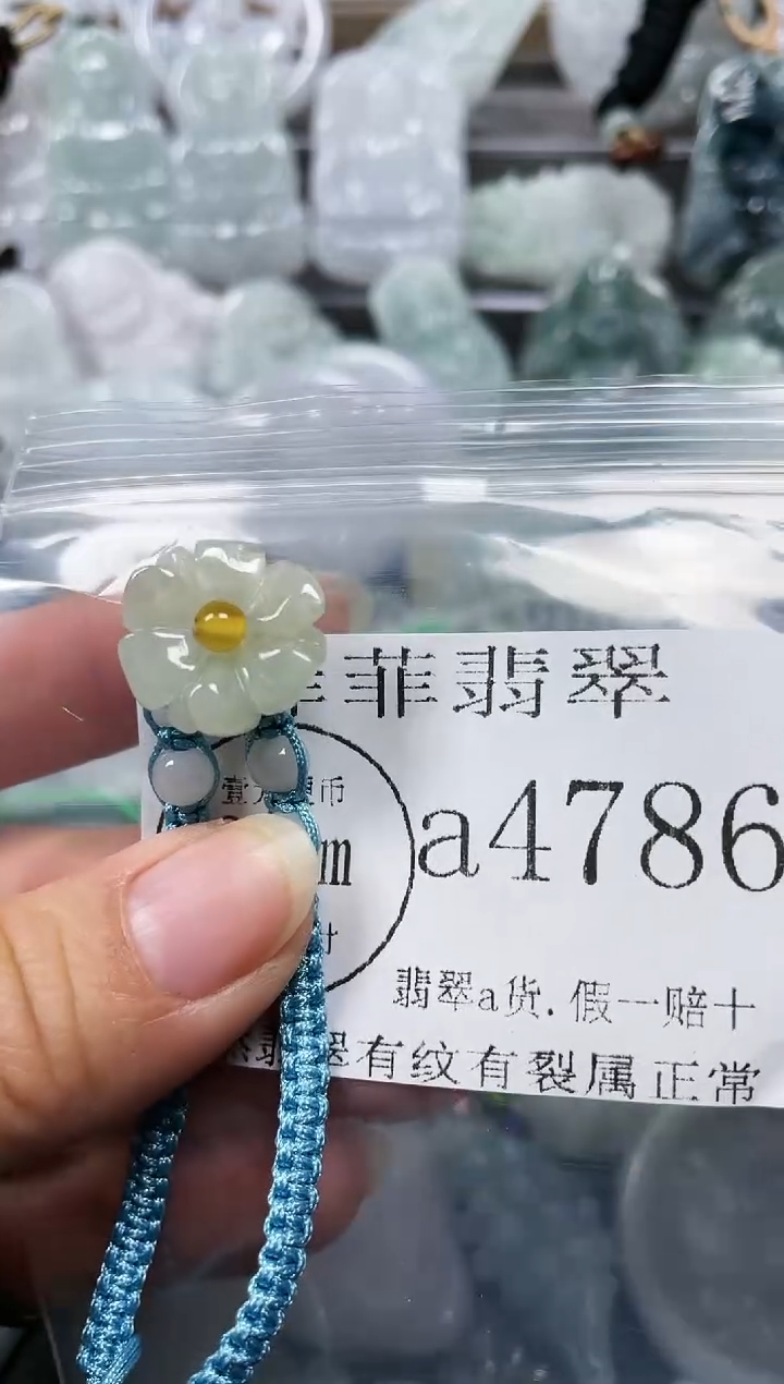 【闪购商品】翡翠颈饰未镶嵌闪购4786