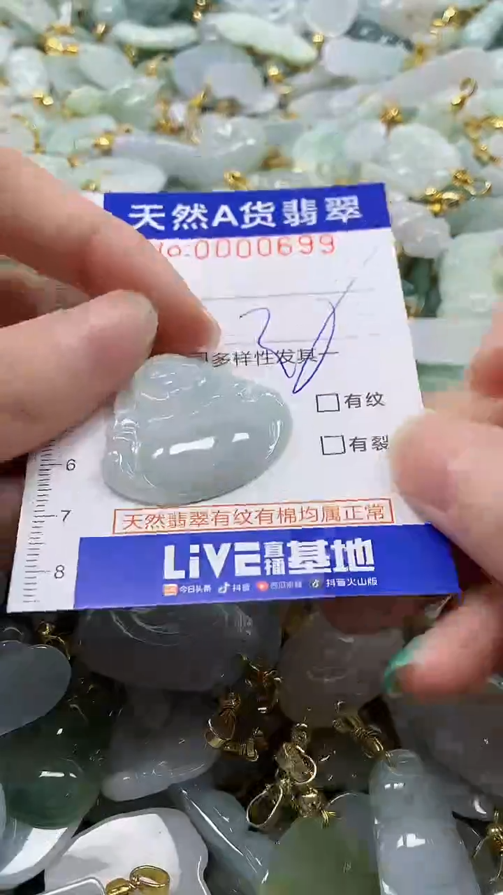 颈饰未镶嵌翡翠纯天然a货翡翠