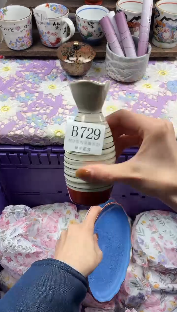 瓷片c***p                     B729