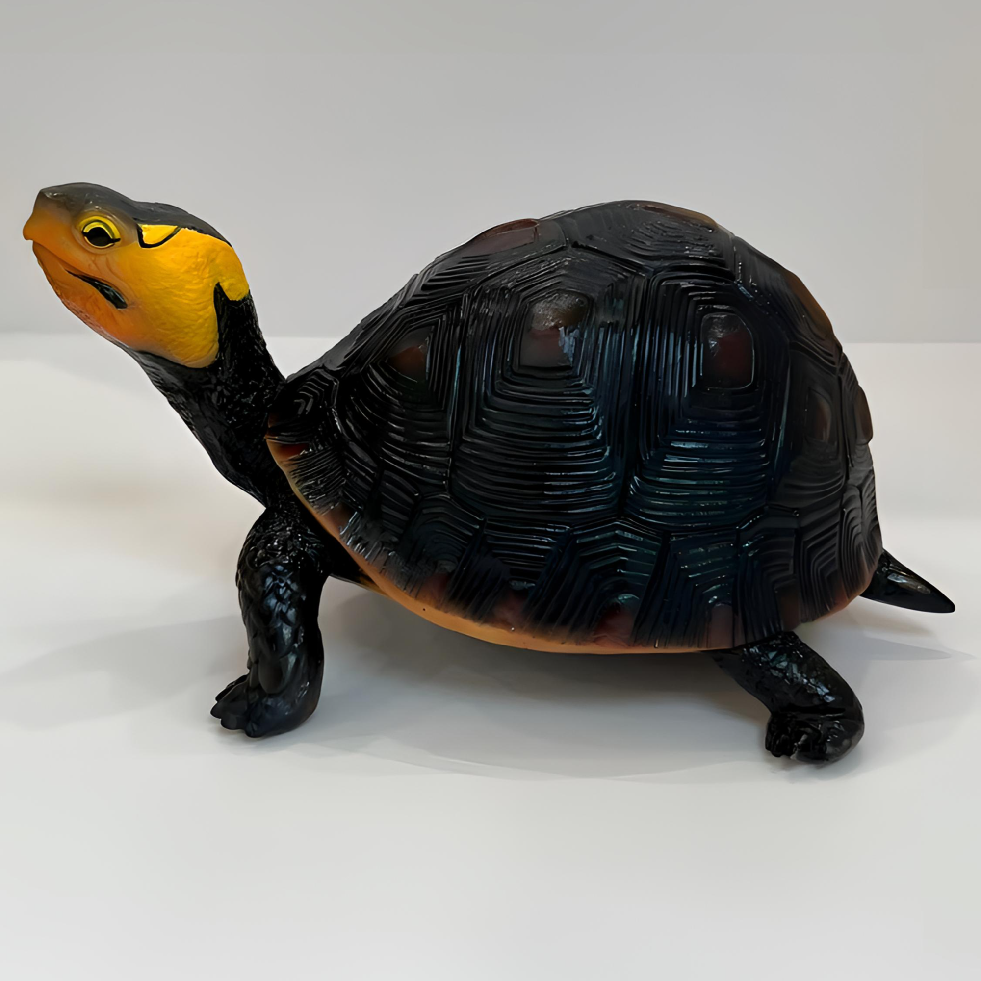 黄缘闭壳龟纯种黑台潮玩摆件 实心质感 收藏级模型工艺品