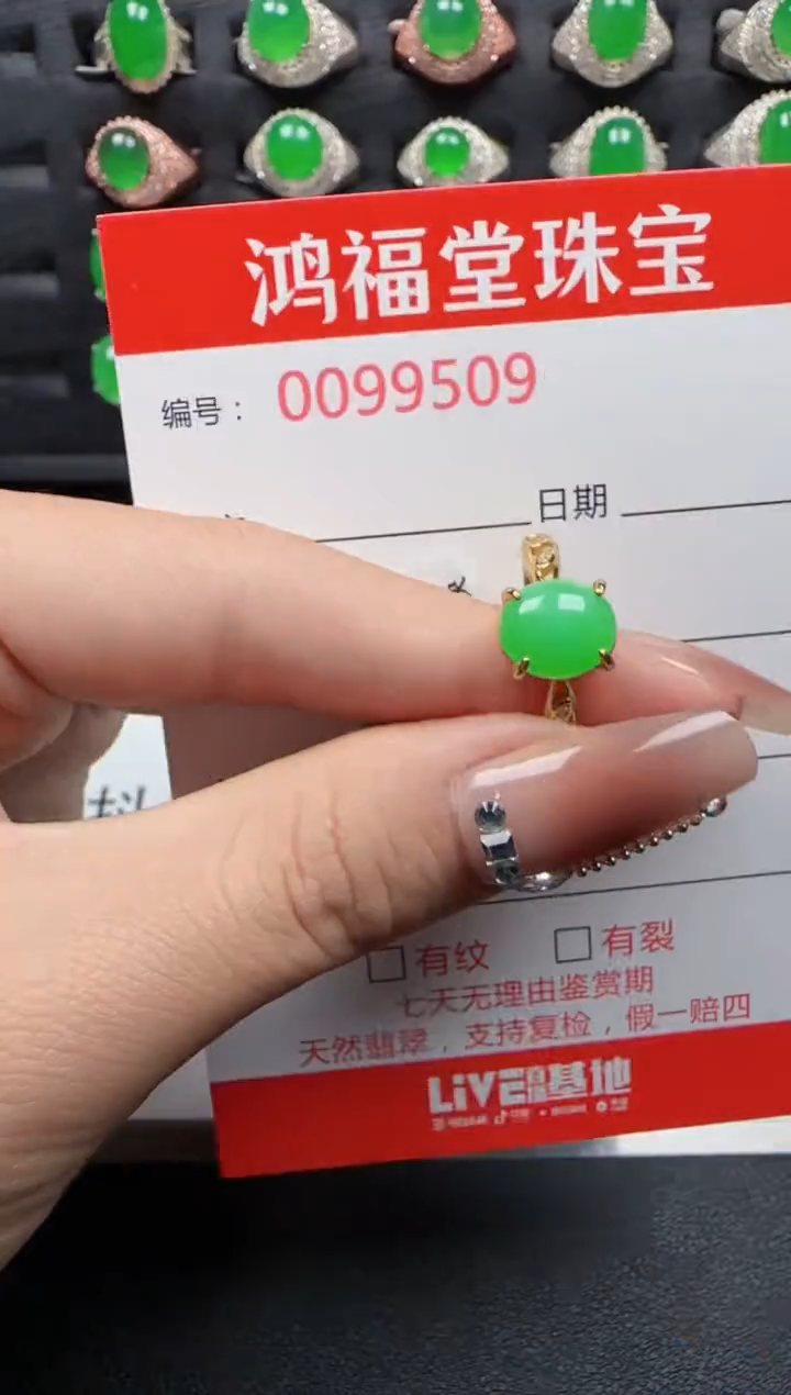 【闪购商品】翡翠戒指银S925镶嵌9509