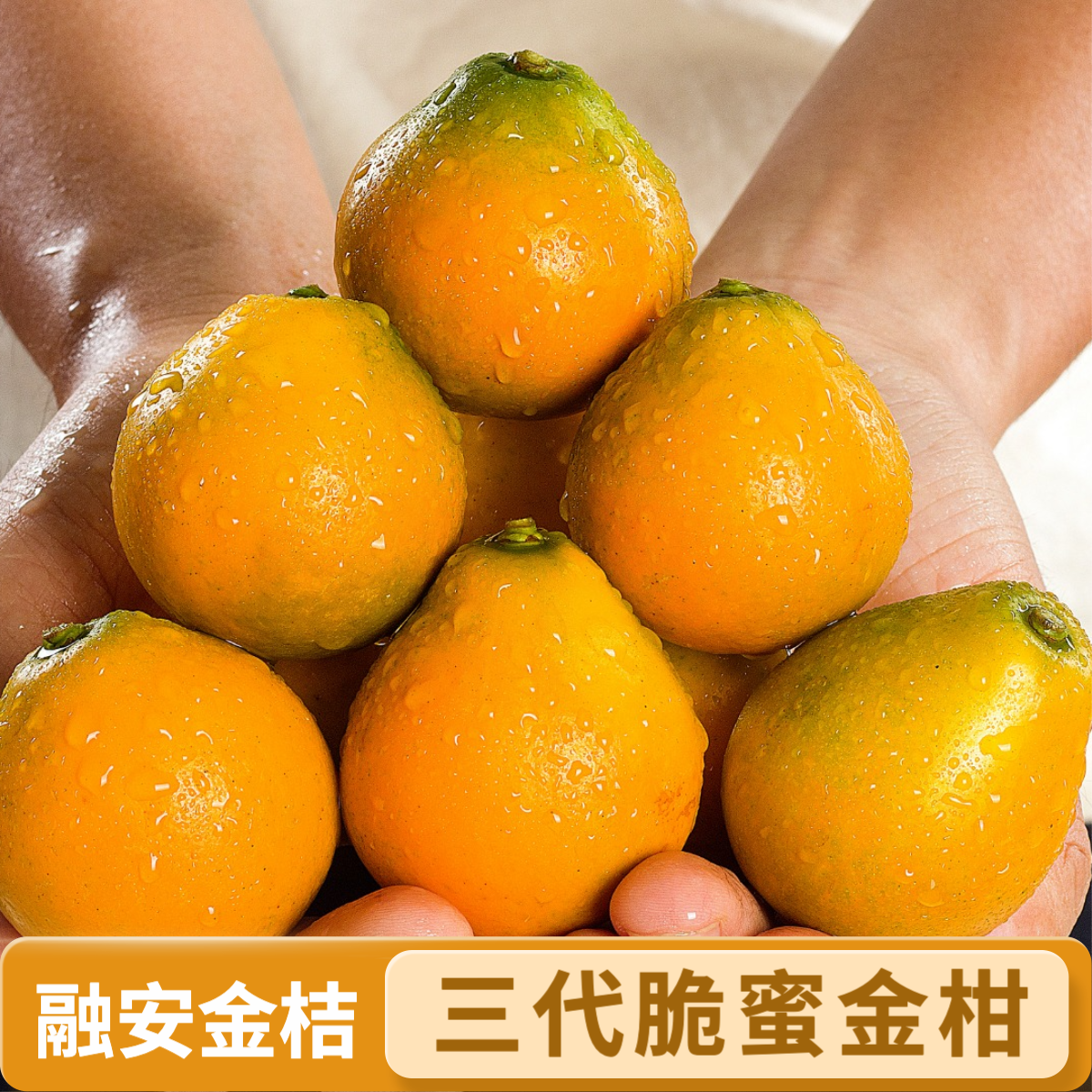 【融安金桔】正宗三代脆蜜金柑 现摘水果 二代滑皮 送礼 纯甜无酸