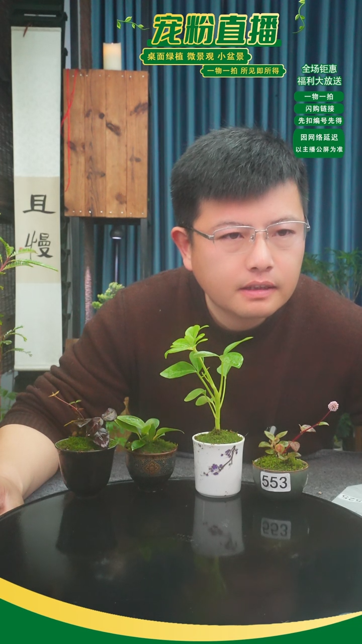 无花朵延**续苔藓微景观553号