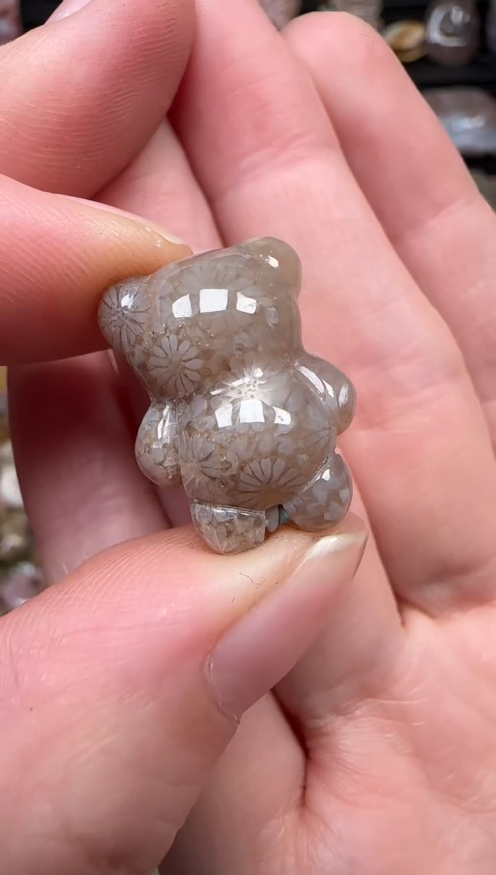 颈饰未镶嵌硅化珊瑚（珊瑚玉）557