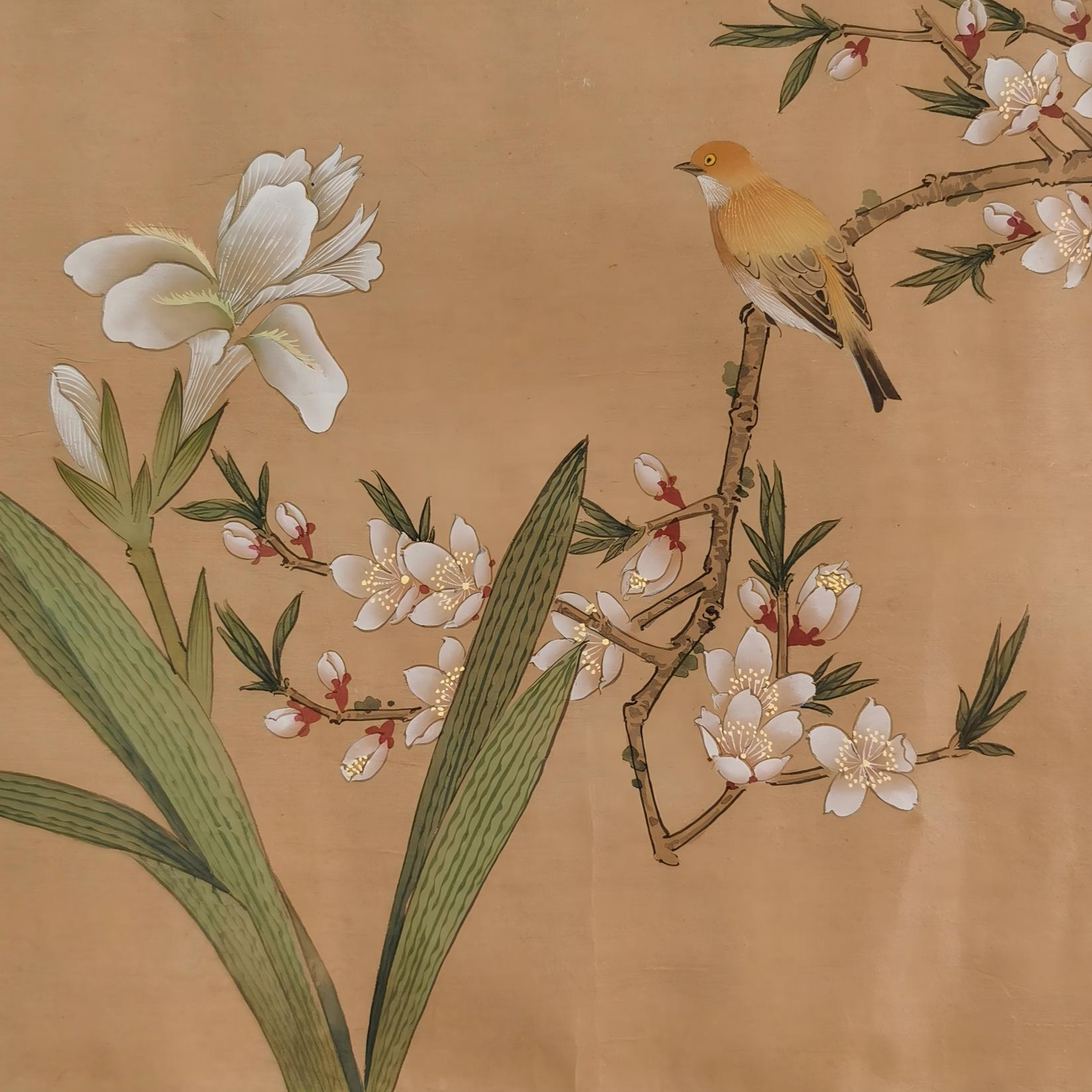 【辽拍】V250709-2-239《花鸟》（0.7平尺)  绢本镜片  yy1231t