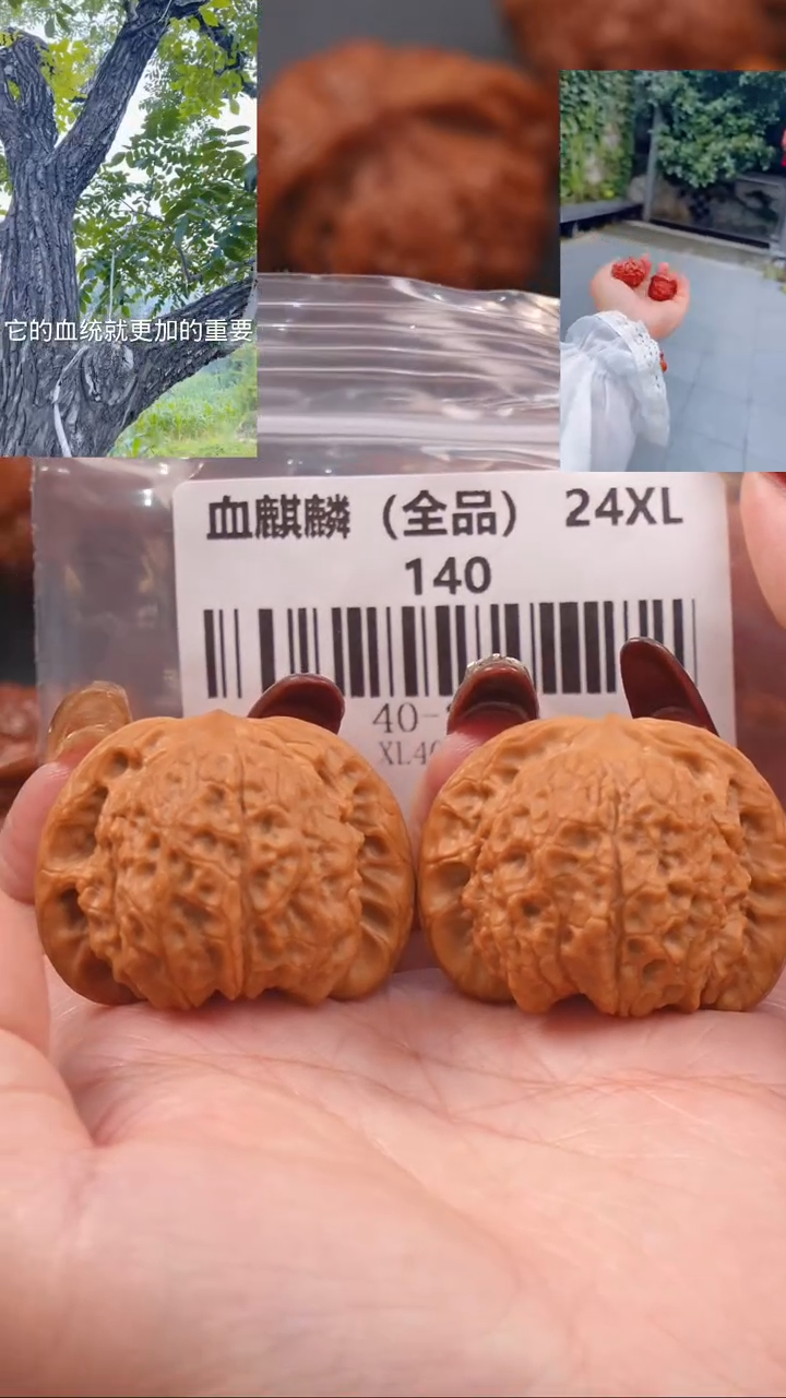 【闪购商品】文玩核桃把件40血麒麟狮子头（全品）