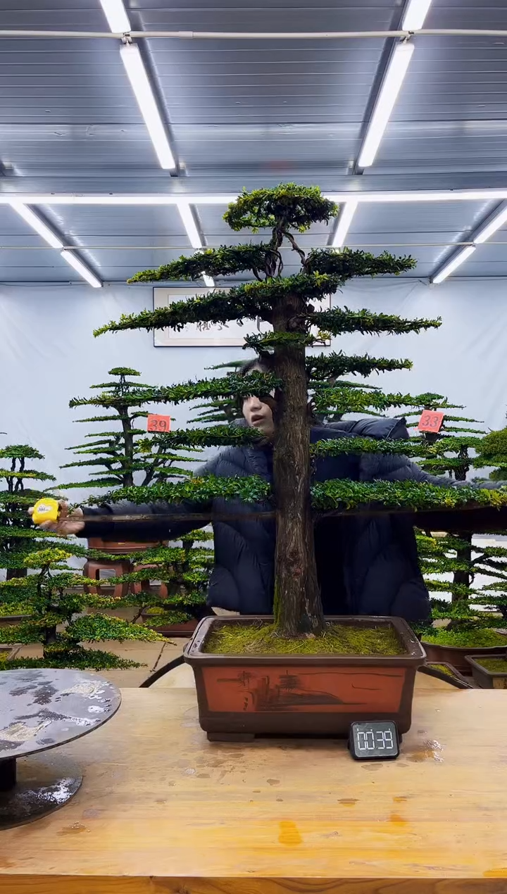 无花朵一物一拍·所见即所得