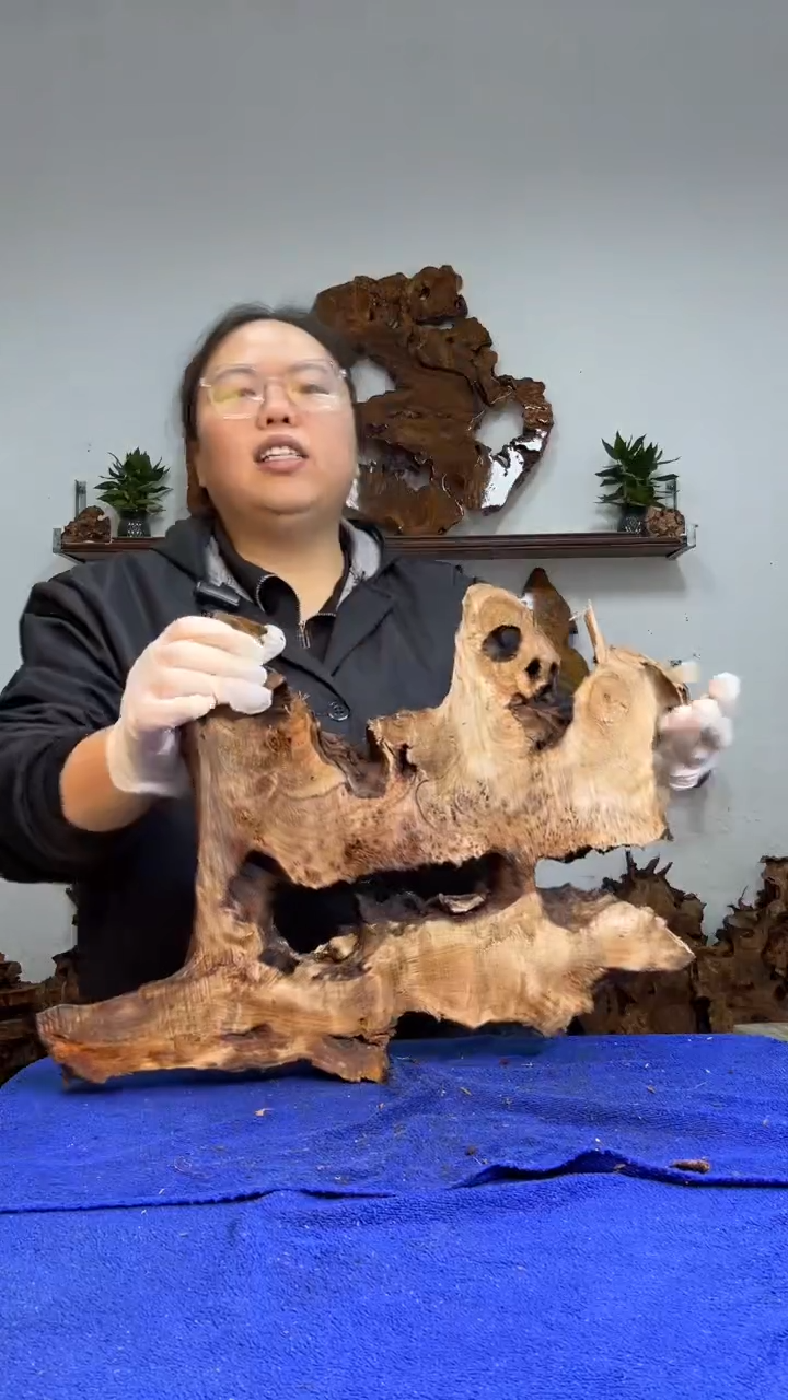香杉树根瘤板材原料