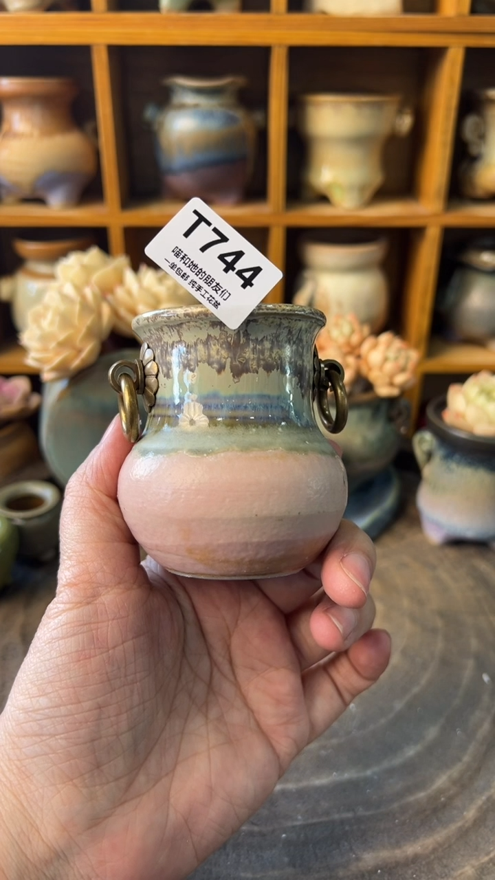 744【多肉花盆多肉盆】