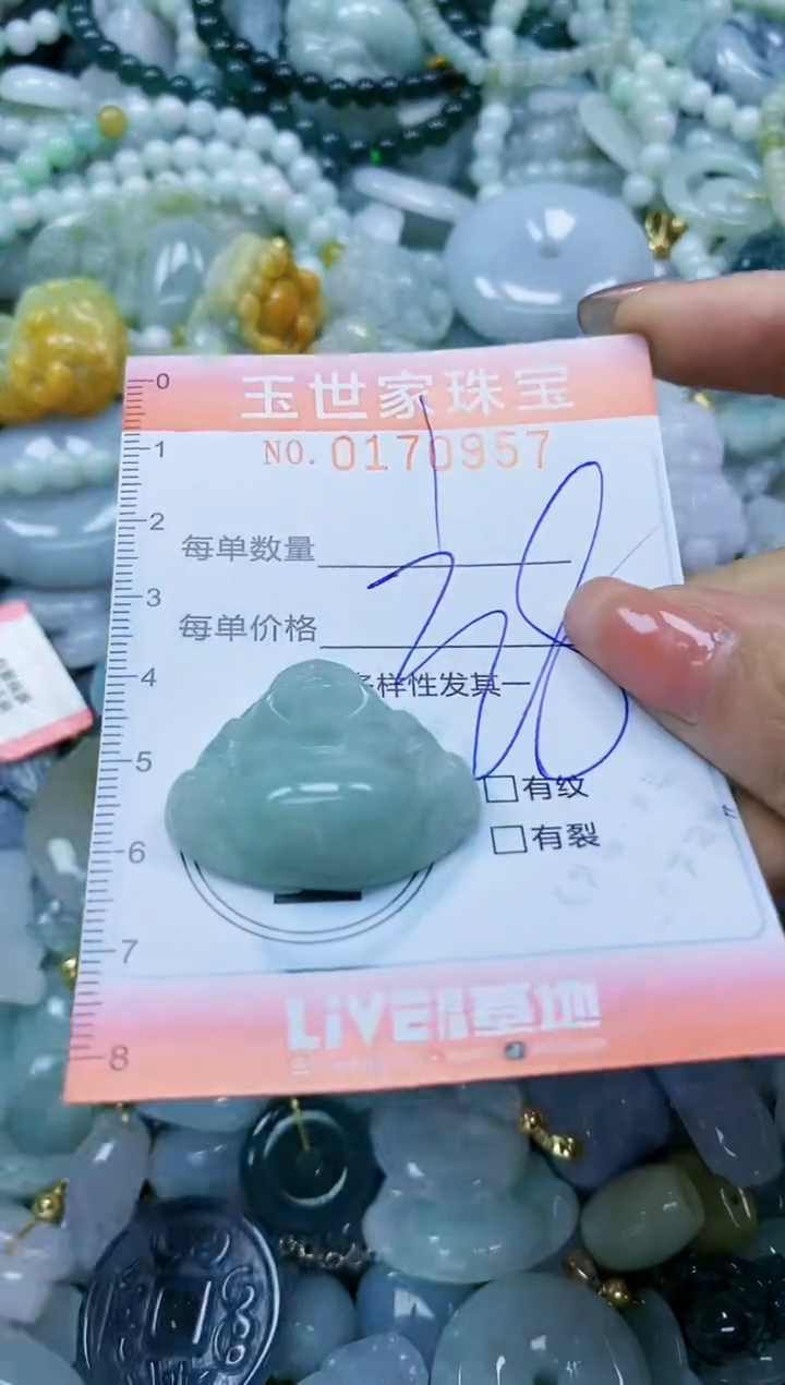 【闪购商品】翡翠颈饰未镶嵌闪购0170957