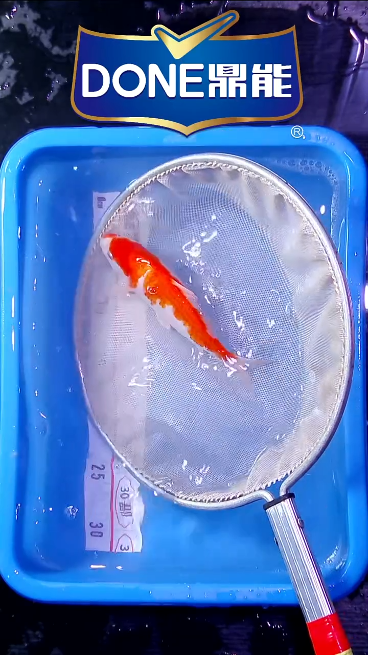 锦鲤鱼悦直播间菁选 对版发货 27号