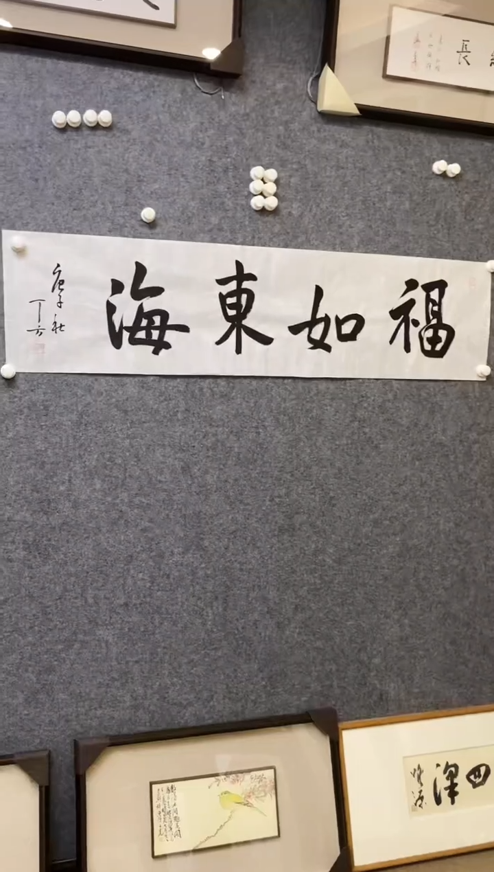 【闪购商品】书法DF软片 04  福如东海