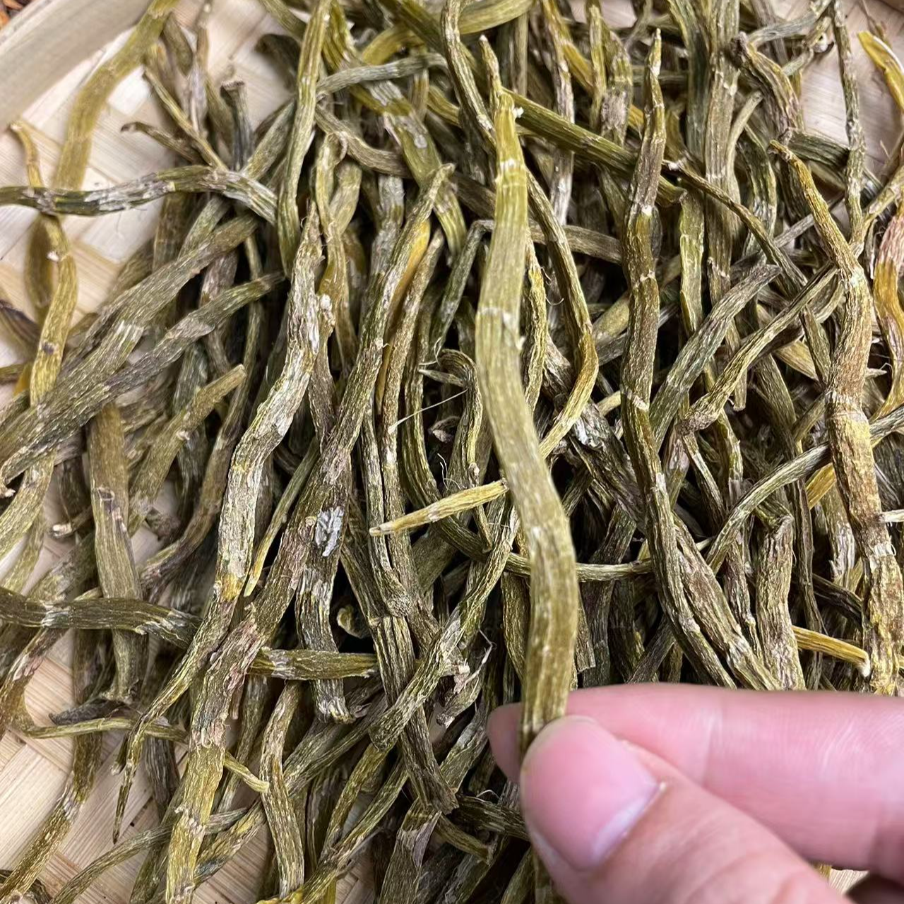 云南下山货珍虫石斛