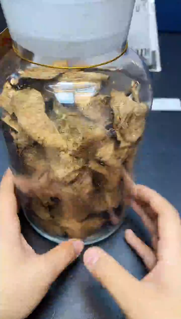 瓷片我又回来了全部漏@@WE2098