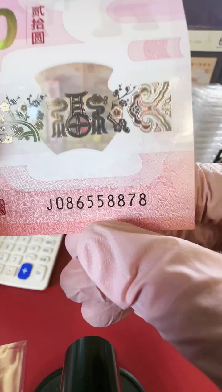 【闪购商品】塑料25蛇钞啊啊啊啊啊啊啊单张裸