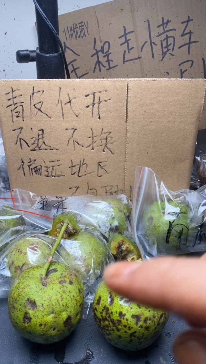 不退不换ZWF四座楼