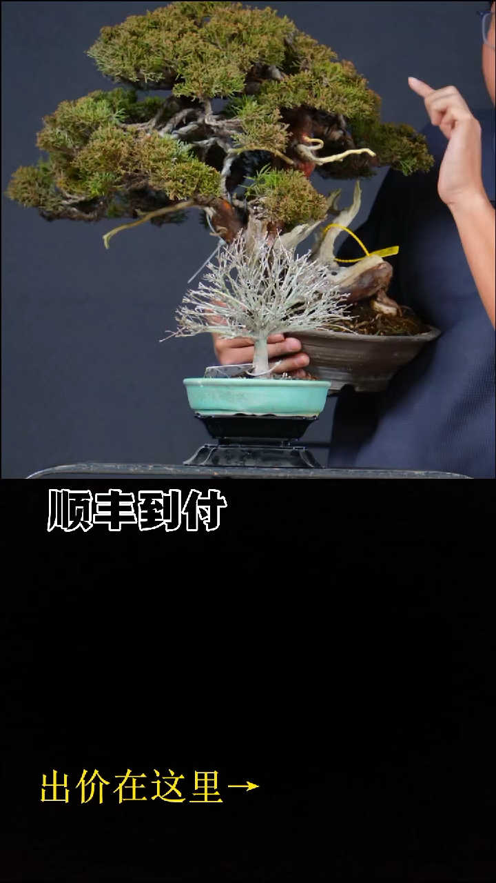 无花朵a361清姬bubaoyou