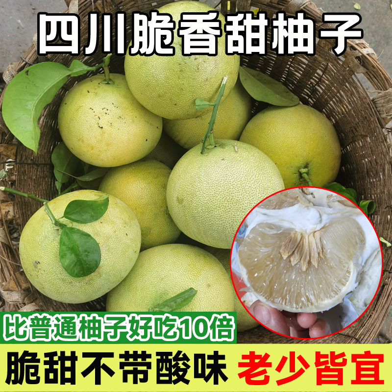 四川中江农家脆香甜蜜柚白肉白心柚子应季白柚孕妇新鲜水果脆甜柚
