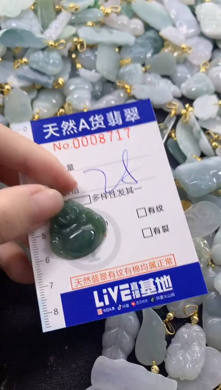 颈饰未镶嵌翡翠天然A货翡翠
