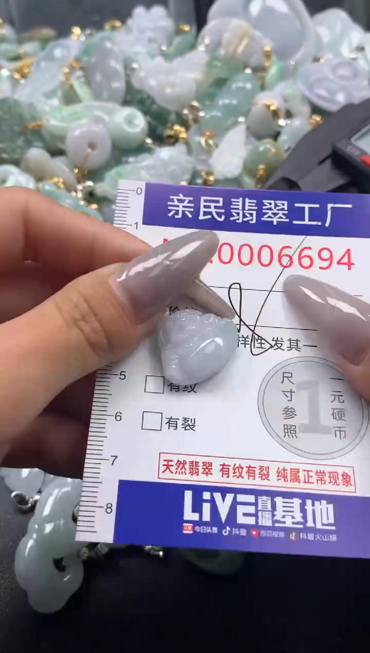 颈饰未镶嵌翡翠6694