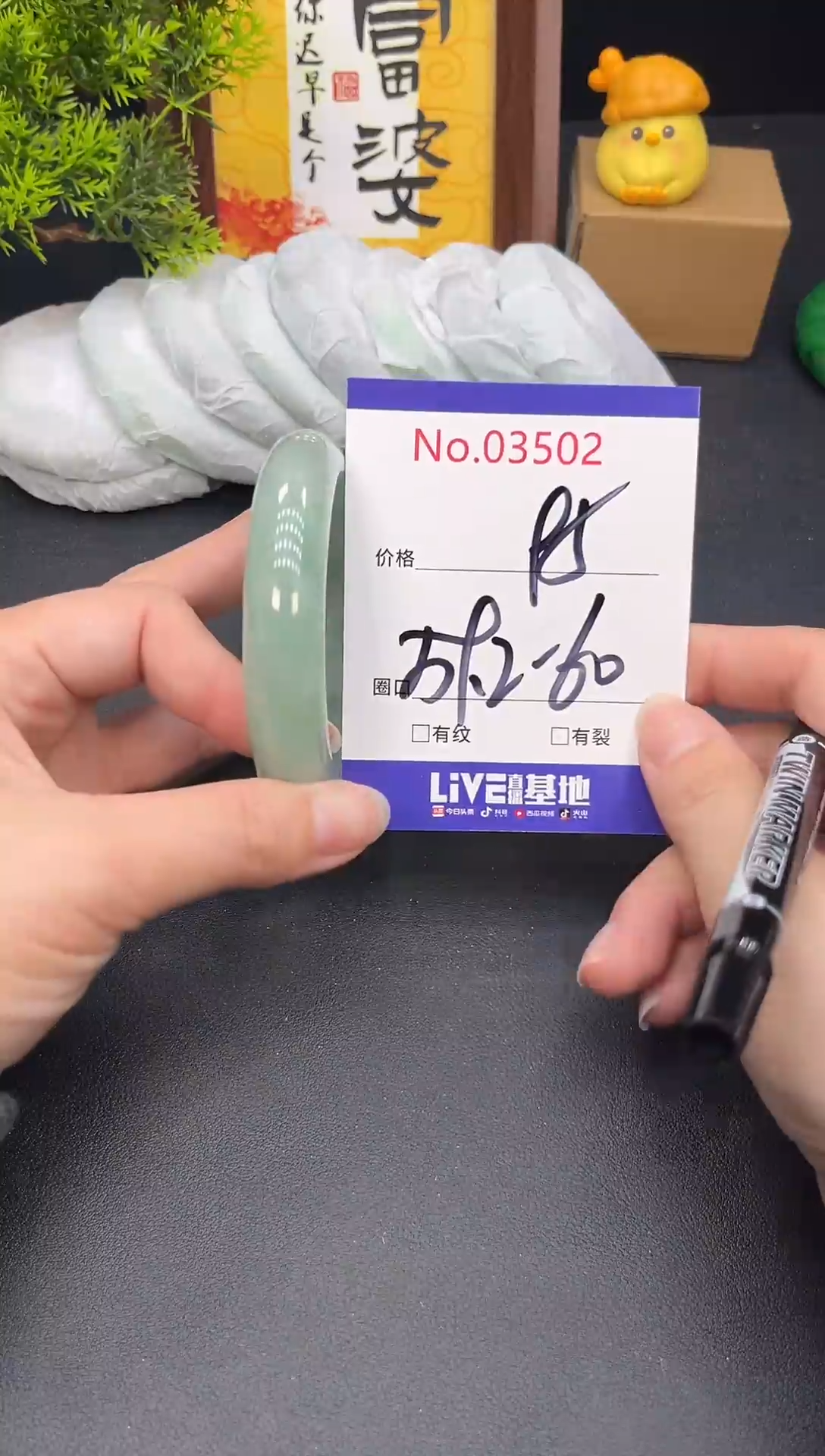 未镶嵌手镯翡翠3502