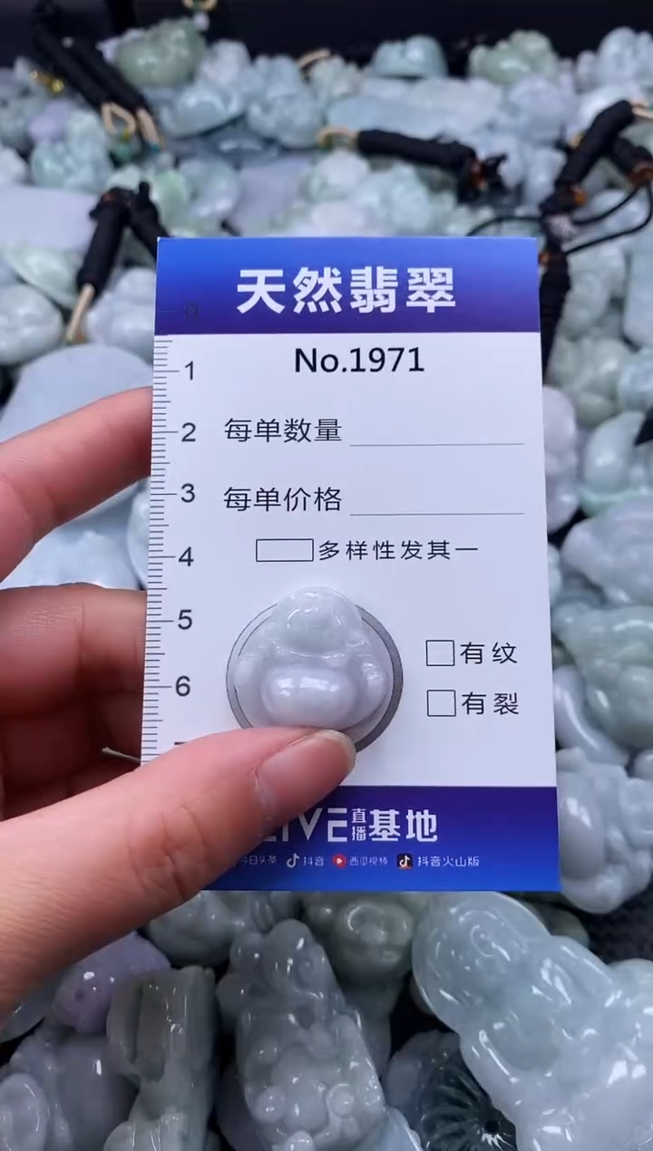 【闪购商品】翡翠颈饰未镶嵌缅甸A货翡翠1971