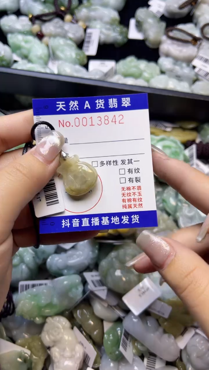 【闪购商品】翡翠颈饰未镶嵌00013842