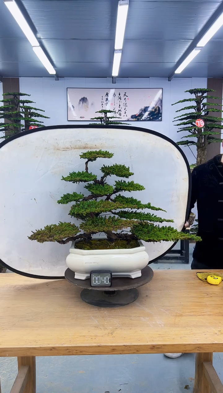 以实际为准00000000000000