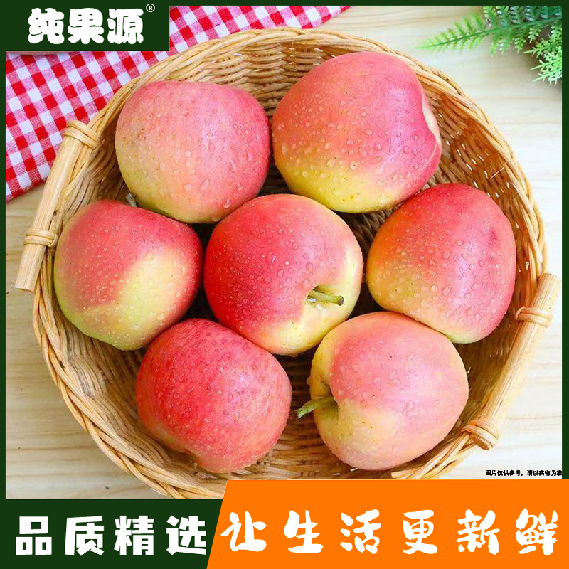 【纯果源小时达】嘎啦苹果【约2.8-3斤】山东省