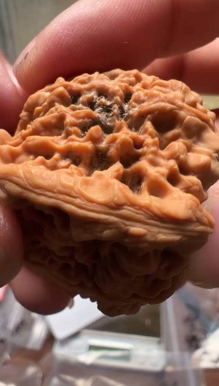 把件文玩核桃?****?42南疆石
