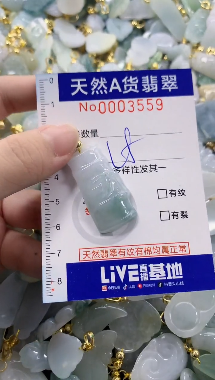 颈饰未镶嵌翡翠天然A货翡翠