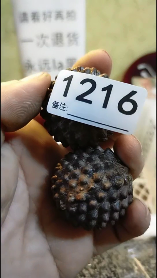 用****1纪年坊杂项甄选专属链接