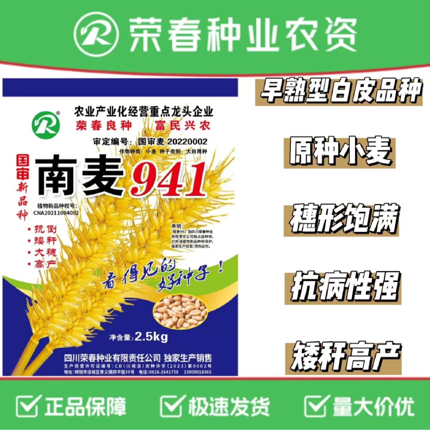（尝鲜装）高产矮杆抗病抗倒伏麦种国审南麦941抗逆性强适种区域广