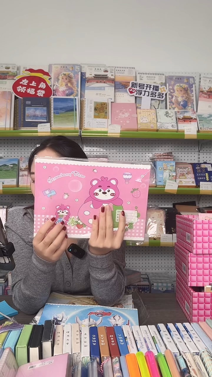 B5铁钉图画本  含贴纸  3包30本  女孩款