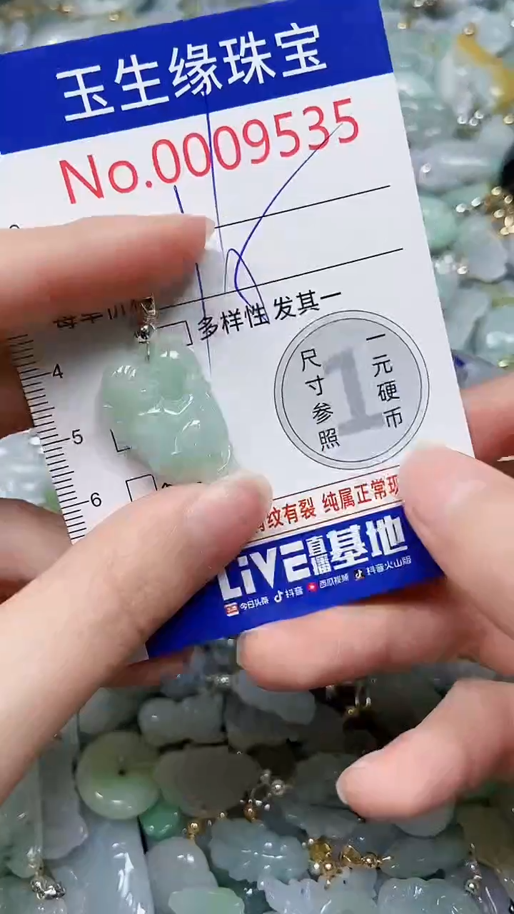 【闪购商品】翡翠颈饰未镶嵌闪购00009535