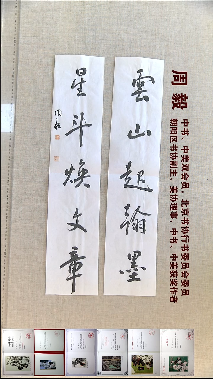 书法周毅书法对联福利14*67*2云山