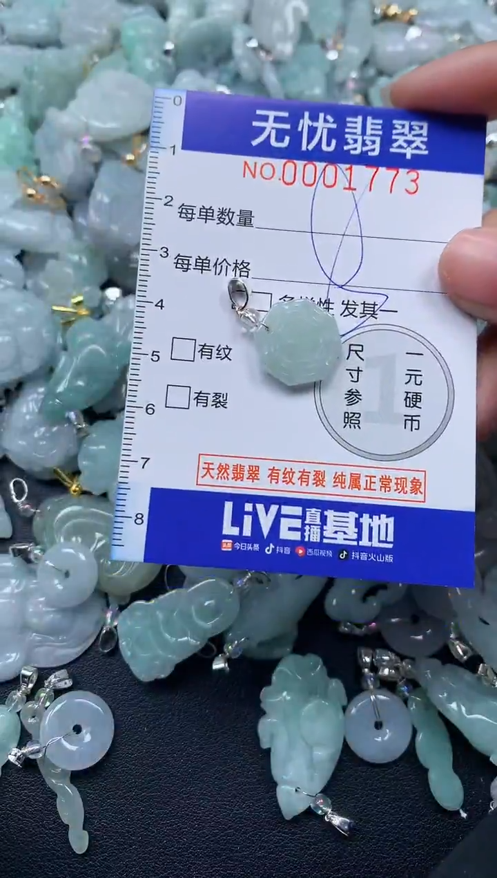 颈饰未镶嵌翡翠1773