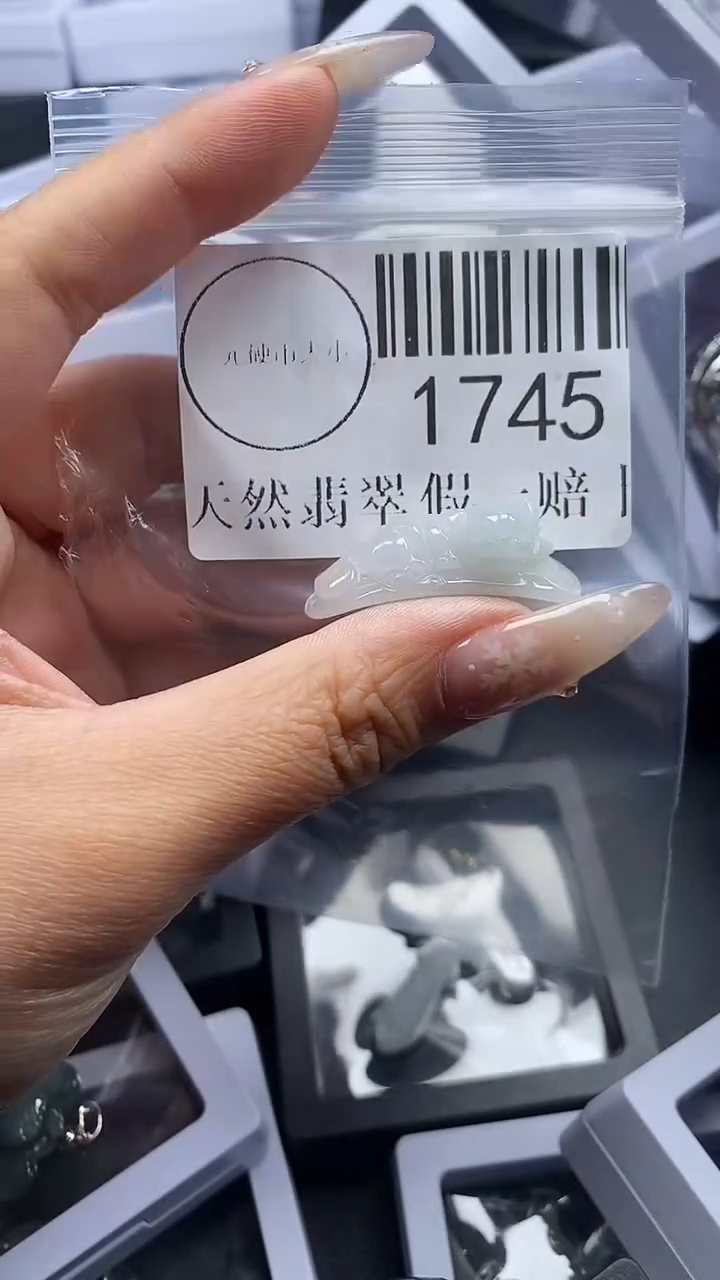 颈饰未镶嵌翡翠1745