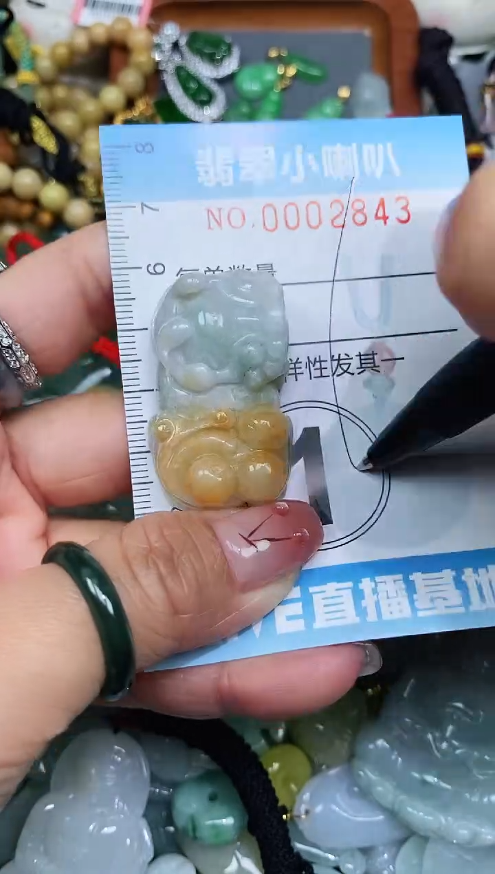 【闪购商品】翡翠颈饰未镶嵌闪购0002843